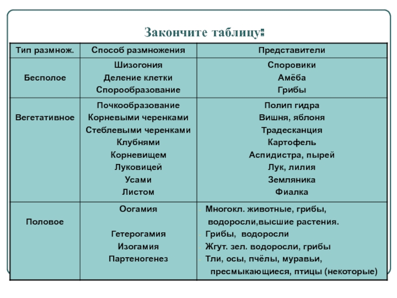 Блекспрут рабочие зеркала bs2webes net